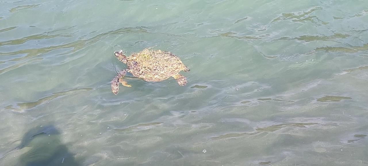 Apto Com Piscina Cantinho Alem Do Mar-Ubatuba Zewnętrze zdjęcie